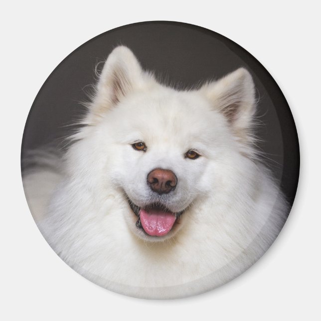 CRB Smiling Magnet (Framsidan)