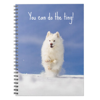 CRB Snow Bear Notebook Anteckningsbok
