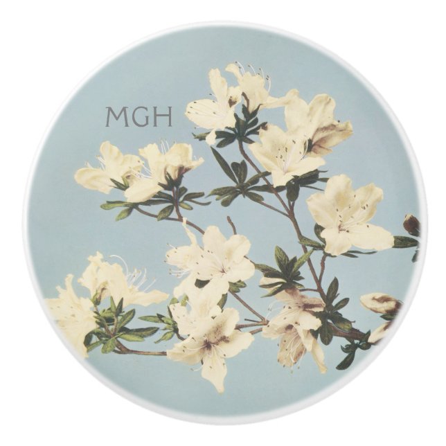 Cream Azalea Flowers Monogram Knopp (Framsidan)