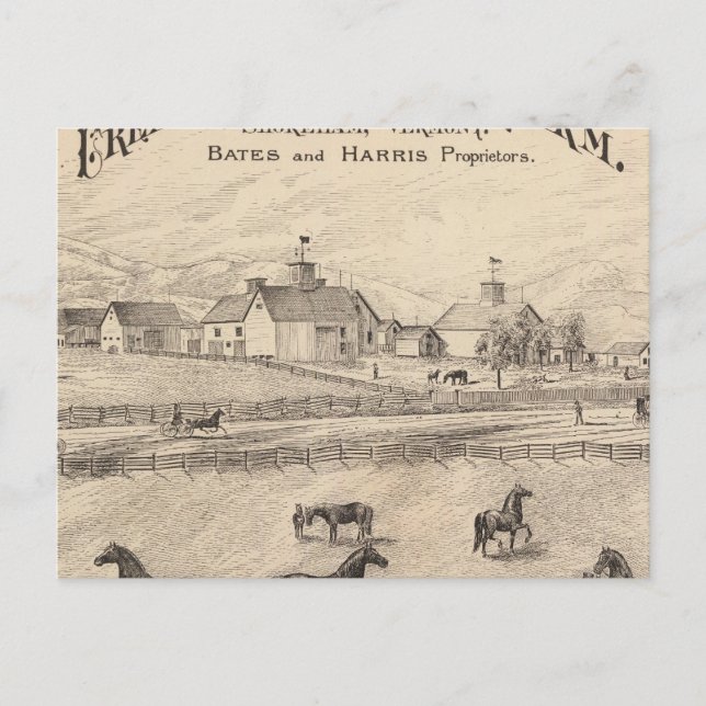 Cream Backe Lagrar Farm in Shoreham Vermont Vykort (Framsida)