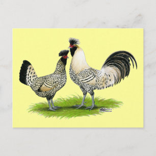 Cream Brabanter Chickens Vykort