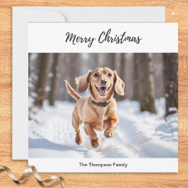 Cream Dachshund i snö Söt hundbild Chic Julkort