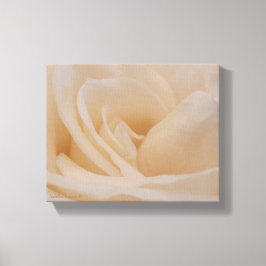 Cream Färgad Ro Closeup Canvastryck