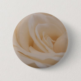 Cream Färgad Ro Closeup Knapp