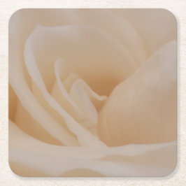 Cream Färgad Ro Closeup Underlägg Papper Kvadrat