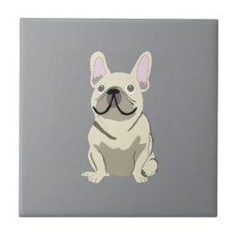 Cream French Bulldog, Kakelplatta