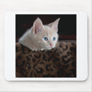 Cream Kitten med vackra Blue Öga Musmatta