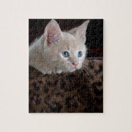Cream Kitten med vackra Blue Öga Pussel