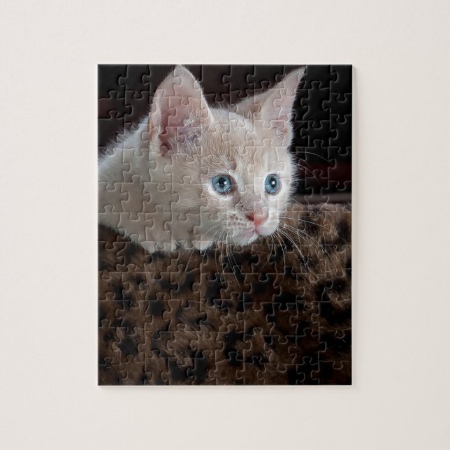 Cream Kitten med vackra Blue Öga Pussel (Vertikal)