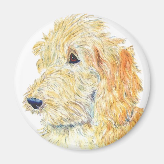 Cream Labradoodle Magnet (Framsidan)