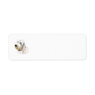 Cream Labradoodle Returadress Etikett
