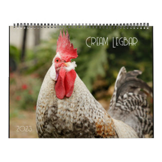 Cream Legbar 2023-kalender Kalender