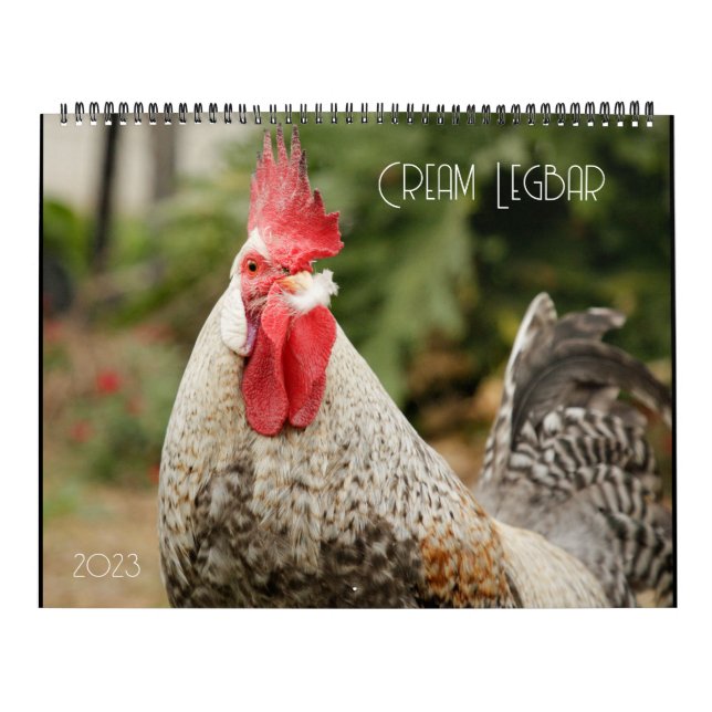 Cream Legbar 2023-kalender Kalender (Omslag)