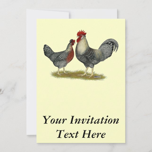 Cream Legbar Chickens Inbjudningar (Framsida)