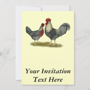 Cream Legbar Chickens Inbjudningar