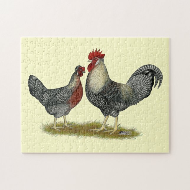 Cream Legbar Chickens Pussel (Horisontell)