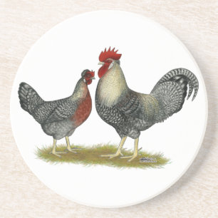 Cream Legbar Chickens Underlägg Sandsten