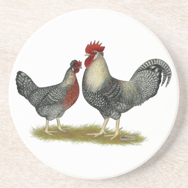Cream Legbar Chickens Underlägg Sandsten (Framsidan)