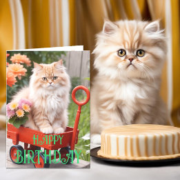 Cream och Ginger Tabby katt i Red Wagon Birthday Kort