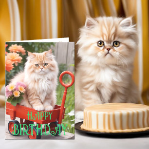 Cream och Ginger Tabby Katt i Röd Vagn Födelsedag Kort