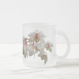 Cream och Rosa Orchids Frostad Glasmugg