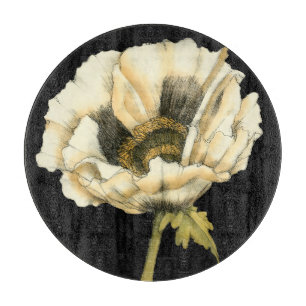 Cream Poppy Flower på svart bakgrund