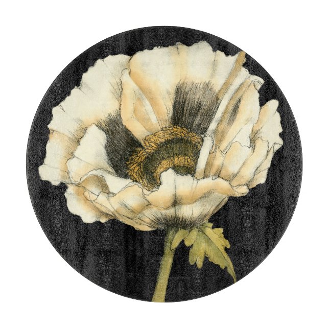 Cream Poppy Flower på svart bakgrund (Framsidan)