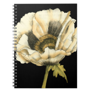 Cream Poppy Flower på svart bakgrund Anteckningsbok Med Spiral