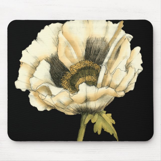 Cream Poppy Flower på svart bakgrund Musmatta (Framsidan)