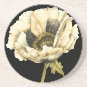 Cream Poppy Flower på svart bakgrund Underlägg