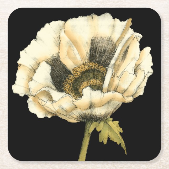 Cream Poppy Flower på svart bakgrund Underlägg Papper Kvadrat (Framsidan)