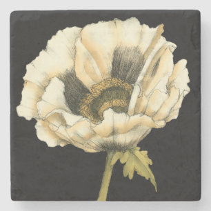 Cream Poppy Flower på svart bakgrund Underlägg Sten