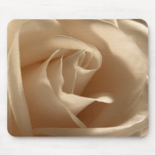 Cream Ro Photo Söt Blommigt Flower Petals Bloom Musmatta