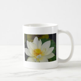 Cream Vatten Lily02.JPG Kaffemugg
