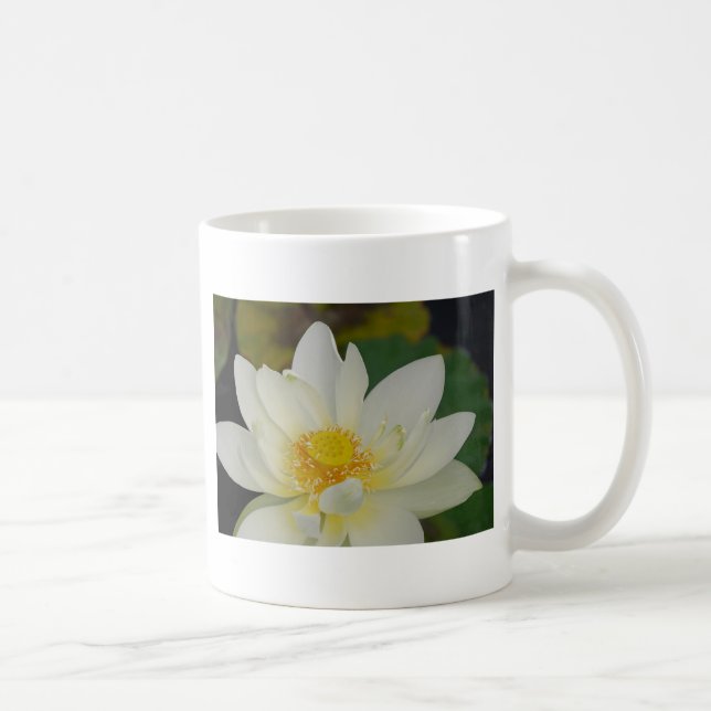 Cream Vatten Lily02.JPG Kaffemugg (Höger)