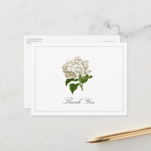 Cream White Hydrangea Bloom Traditional Thank You Vykort (Fram/Back In Situ)