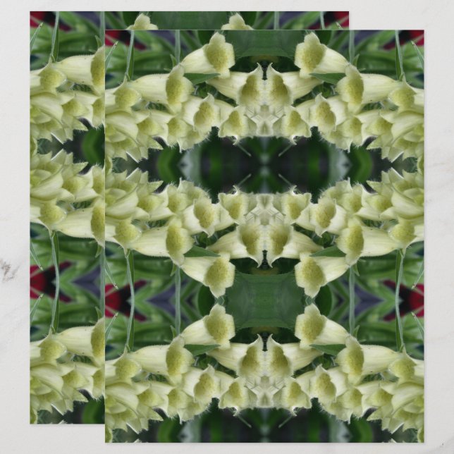 Creamy Foxglove Flower Abstrakt Scrapbook Papper (Fram/baksida)