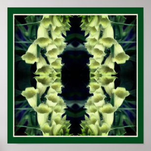 Creamy Foxglove Flowers Spegel Abstrakt Poster