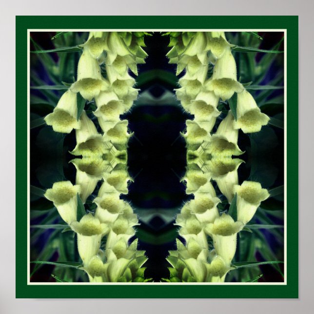 Creamy Foxglove Flowers Spegel Abstrakt Poster (Framsidan)