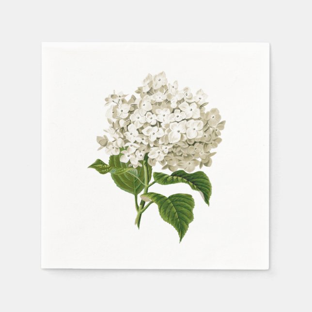 Creamy White Antique Hydrangea Flower Pappersservett (Framsidan)