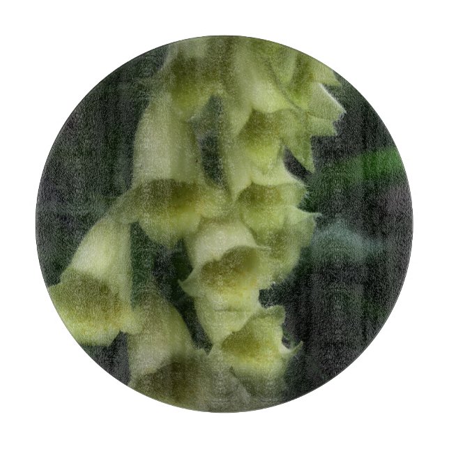 Creamy White Foxglove Flowers (Framsidan)