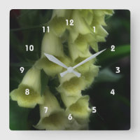 Creamy White Foxglove Flowers