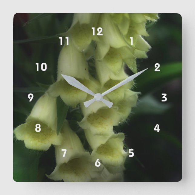 Creamy White Foxglove Flowers Fyrkantig Klocka (Framsida)