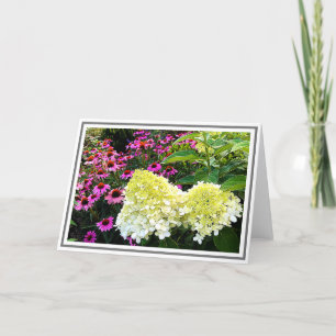 Creamy White Hydrangea och Rosa Cone Flowers Kort