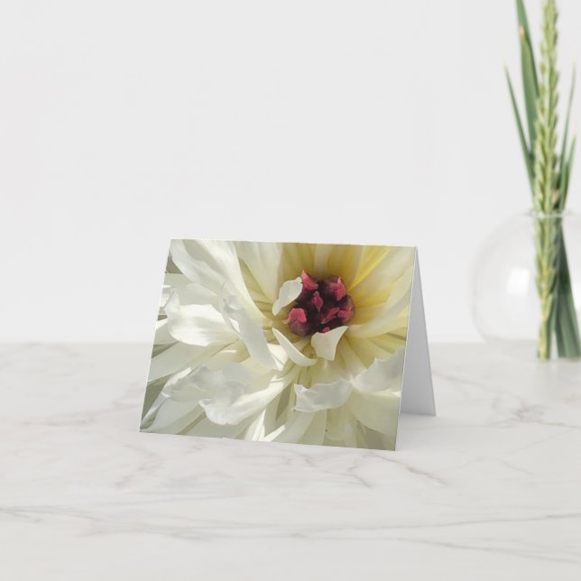Creamy White Peony Flower med Rosa Stamens Kort (Framsida)