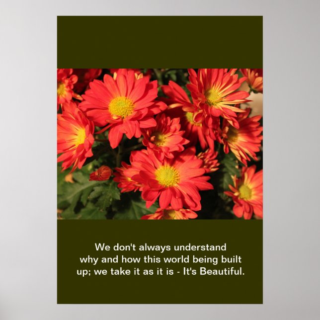 Create you own nature photography poster (Framsidan)