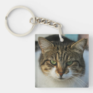 Create Your Own Pet Photo Custom Picture Gift