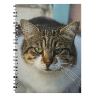 Create Your Own Pet Photo Custom Picture Gift Anteckningsbok