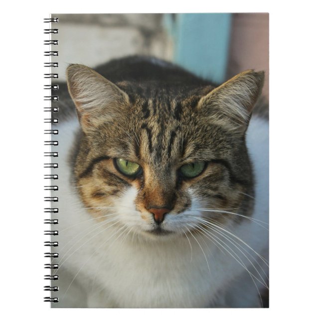 Create Your Own Pet Photo Custom Picture Gift Anteckningsbok (Framsidan)