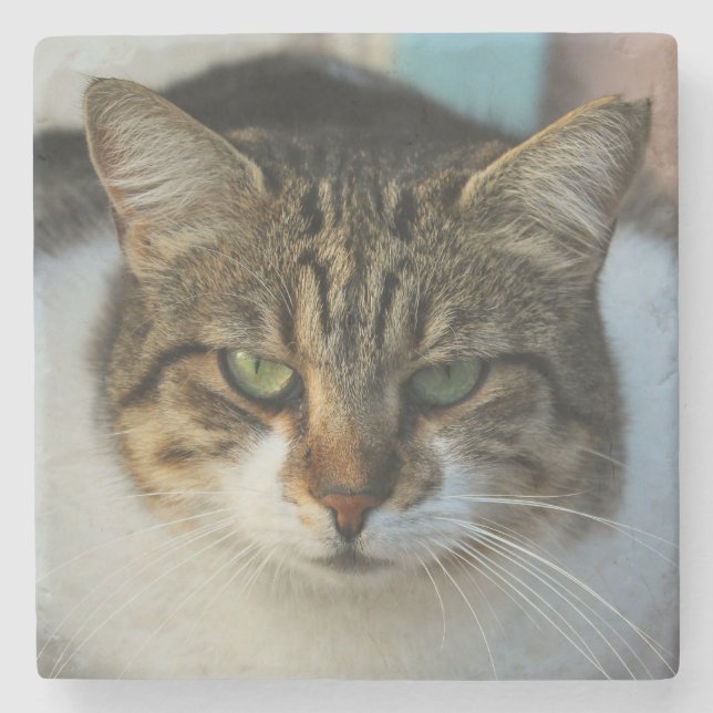 Create Your Own Pet Photo Custom Picture Gift Stenunderlägg (Framsidan)